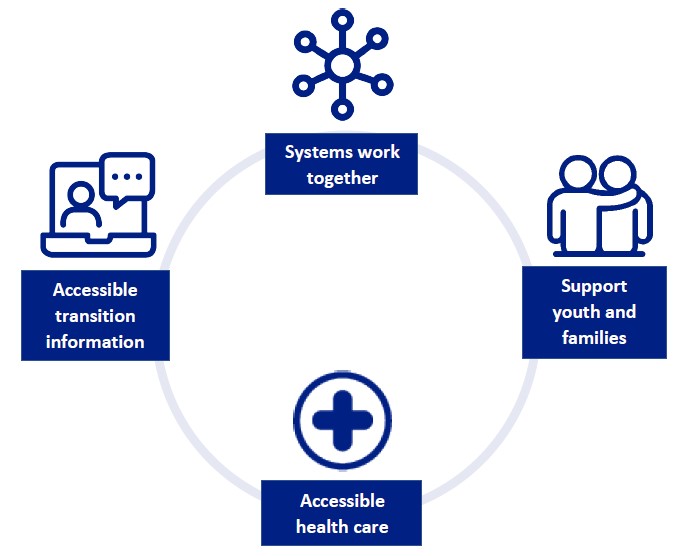 Project areas of focus - systems work together, accessible transition information, accessible healthcare, support youth and families