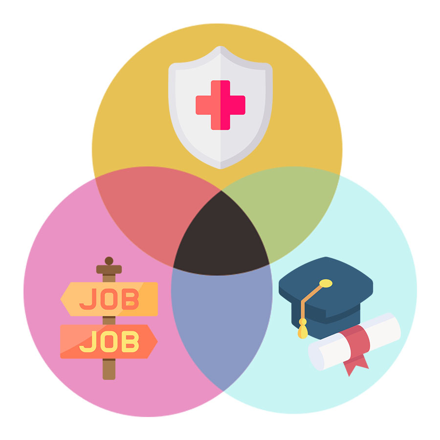 Integrated transition planning visual - healthcare, employment, education
