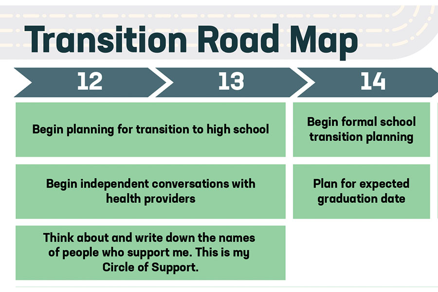 Screenshot of transition road map